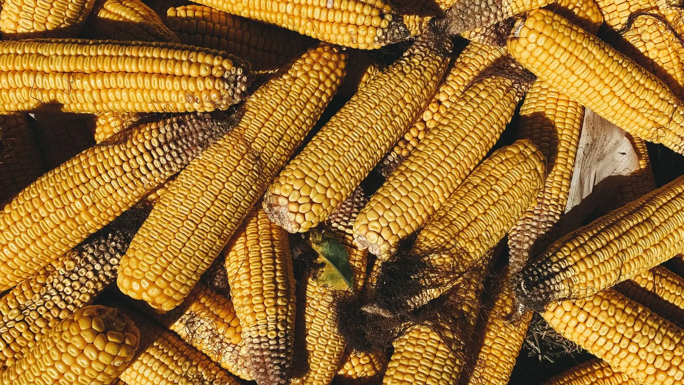 Outras commodities agrícolas — Imagem de banco
